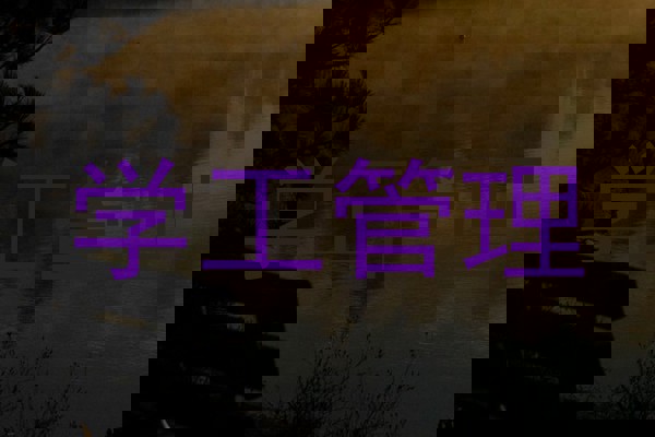 学工管理