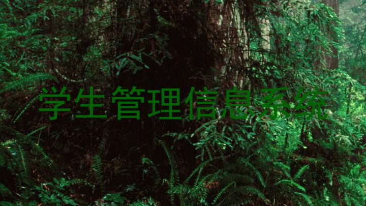 学生管理信息系统