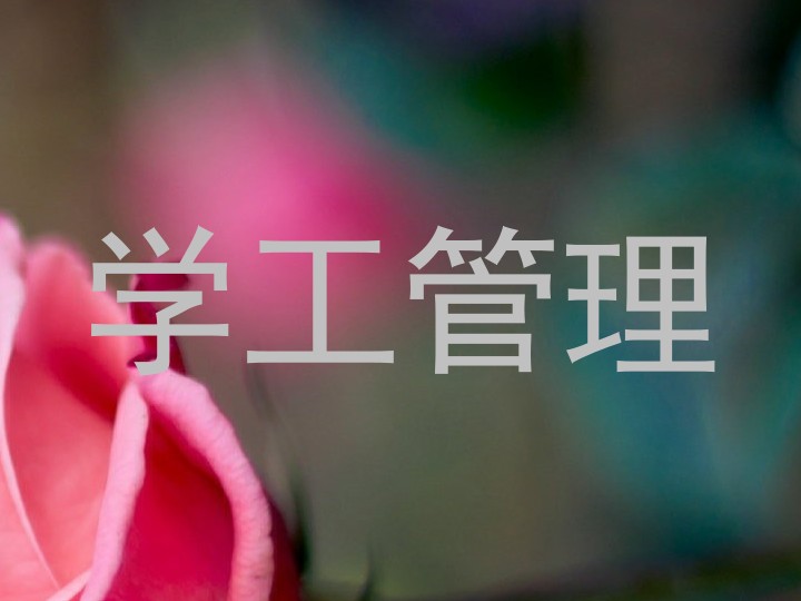 学工管理
