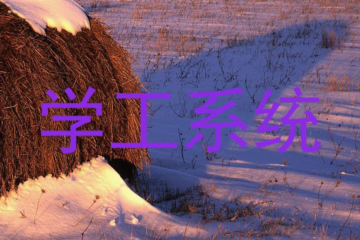 学工系统