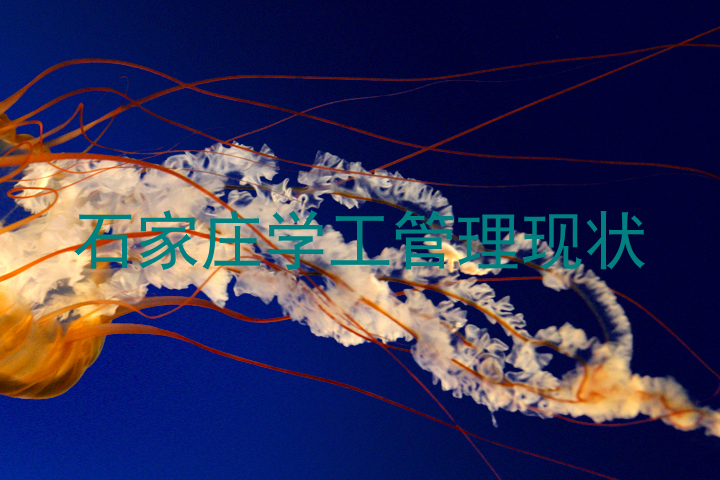 石家庄学工管理现状