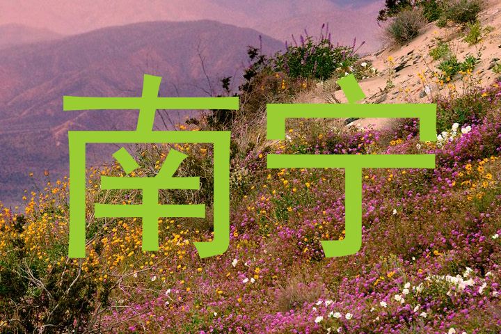 南宁
