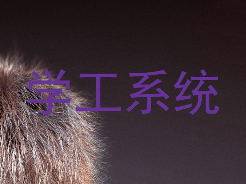 学工系统