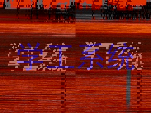 学工系统
