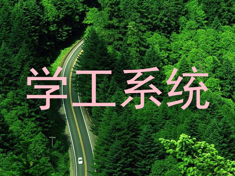 学工系统