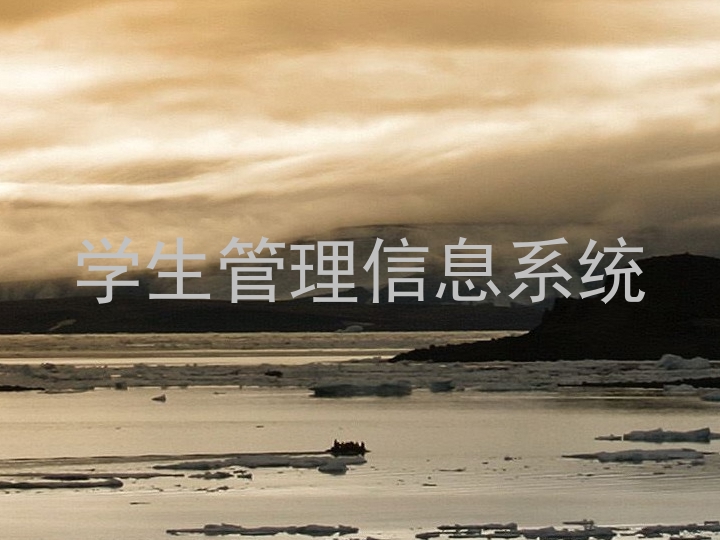 学生管理信息系统