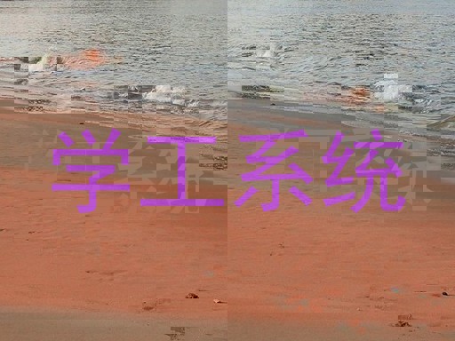 学工系统
