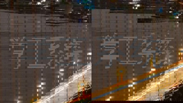 学工系统