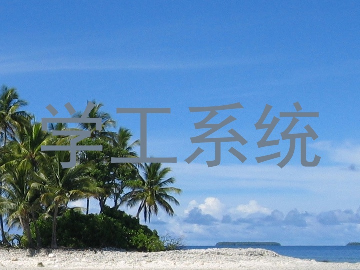学工系统