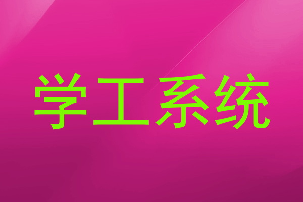 学工系统