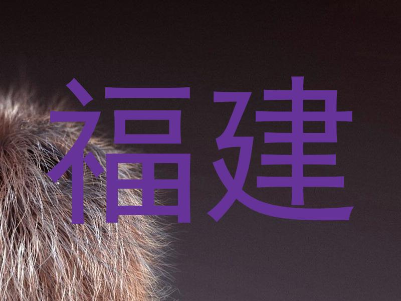 福建