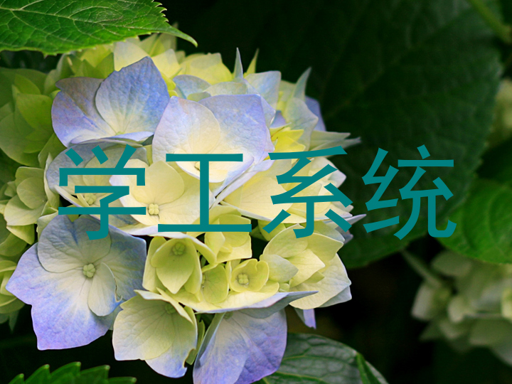 学工系统