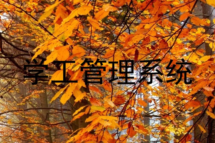 学工管理系统