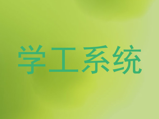 学工系统