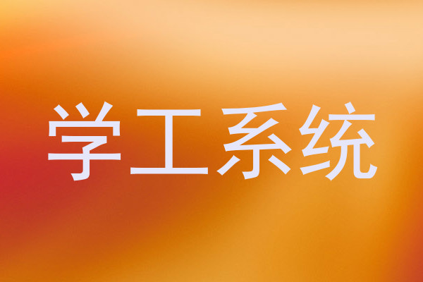 学工系统