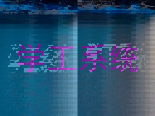 学工系统