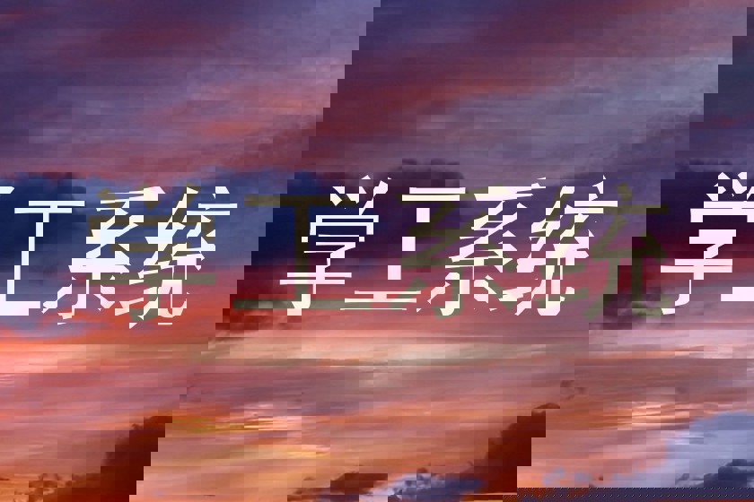 学工系统