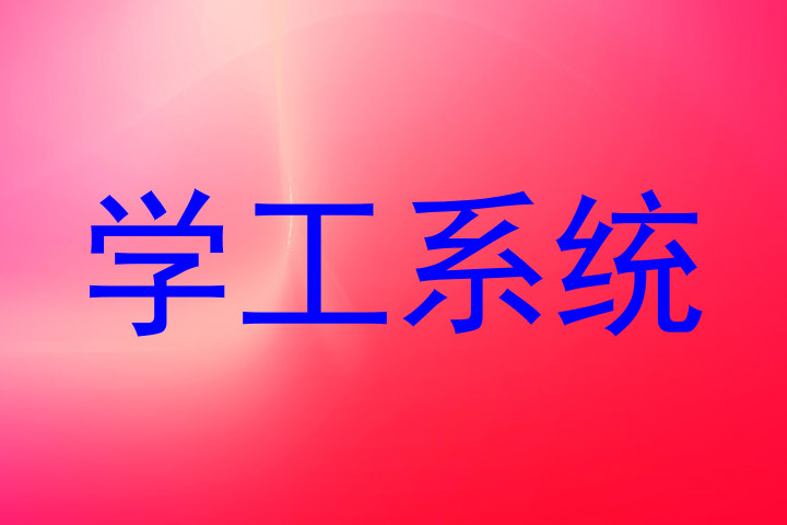 学工系统