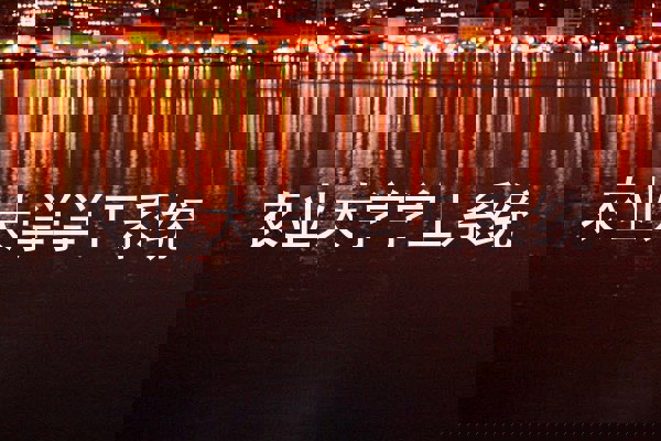 农业大学学工系统