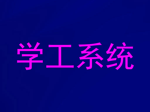 学工系统