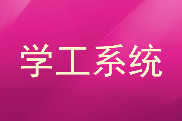 学工系统
