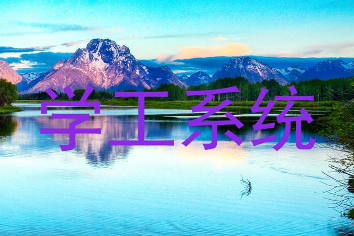 学工系统