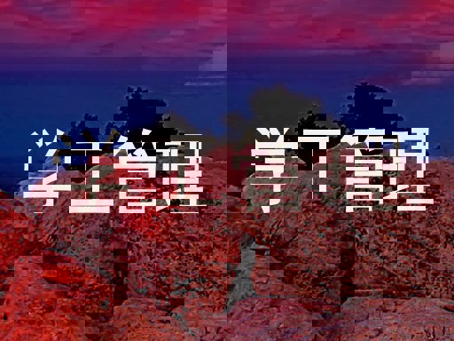 学工管理