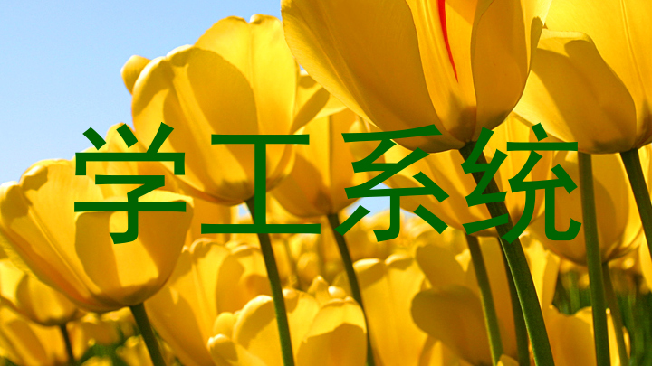 学工系统