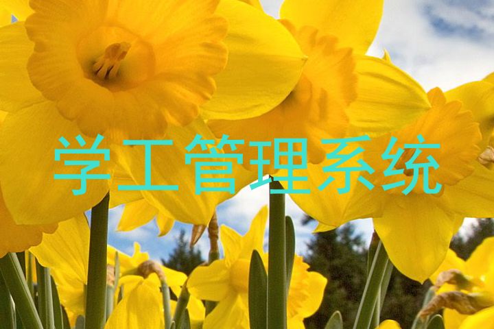 学工管理系统