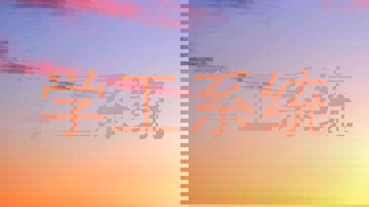 学工系统