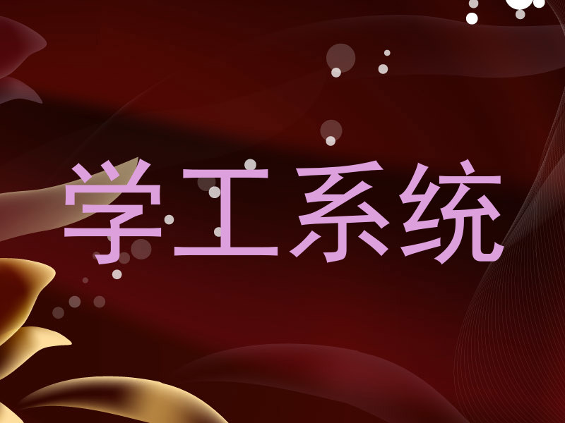 学工系统