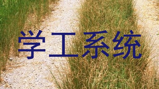 学工系统