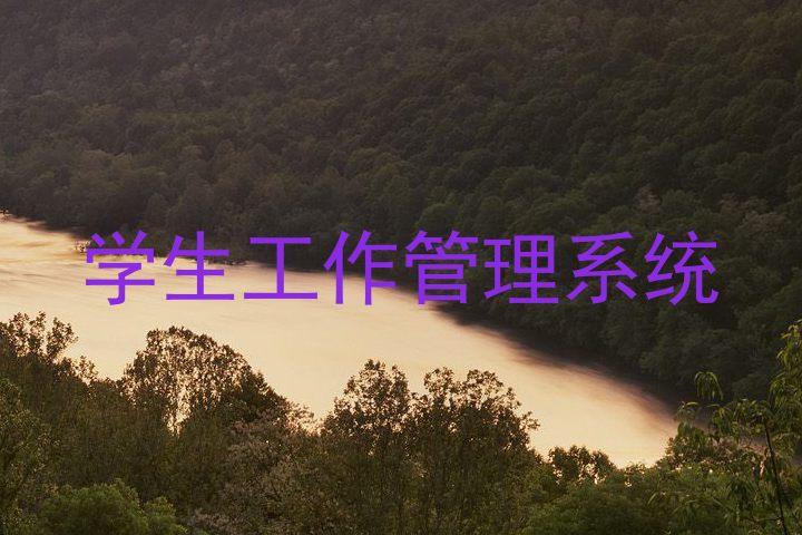 学生工作管理系统