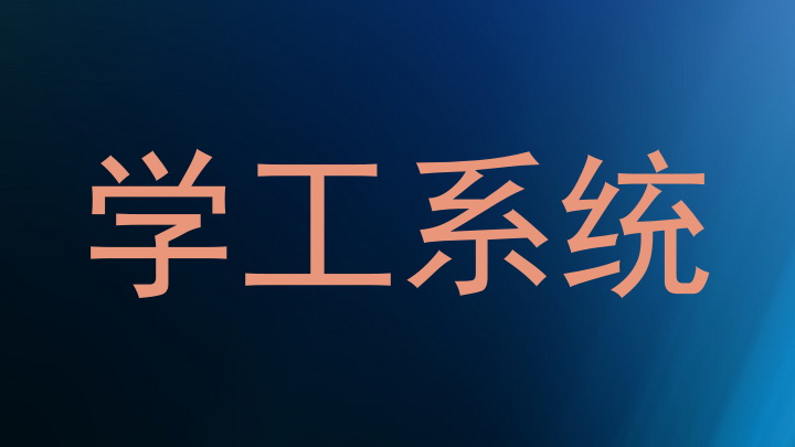 学工系统