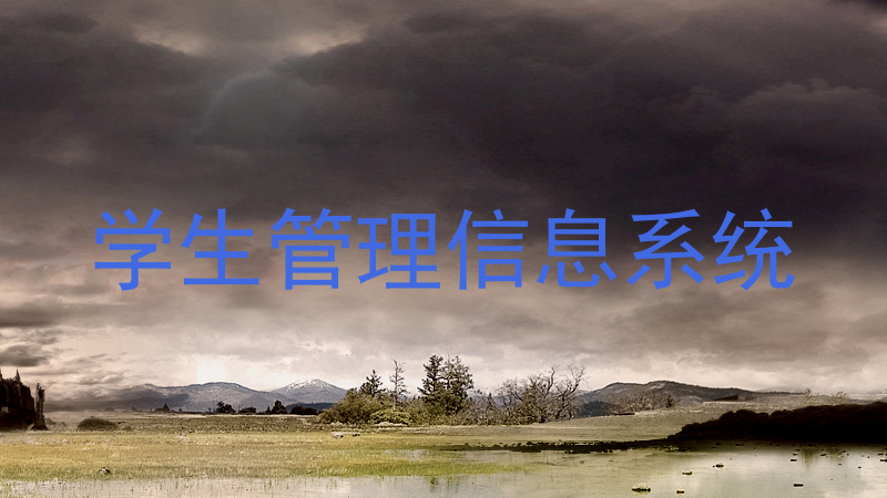 学生管理信息系统