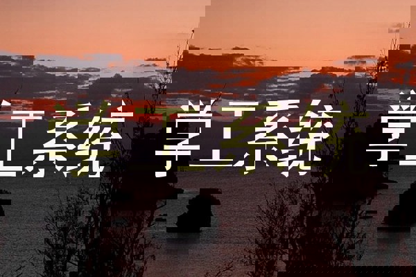 学工系统