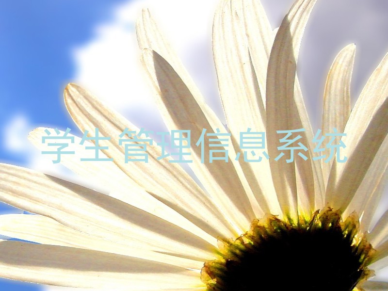 学生管理信息系统