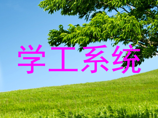 学工系统