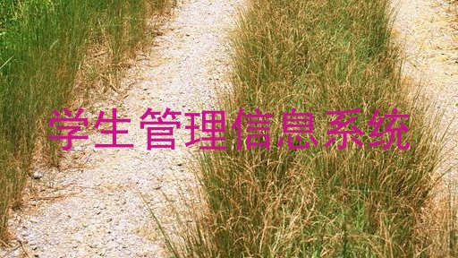 学生管理信息系统