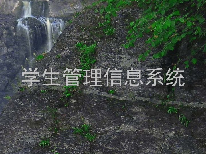 学生管理信息系统