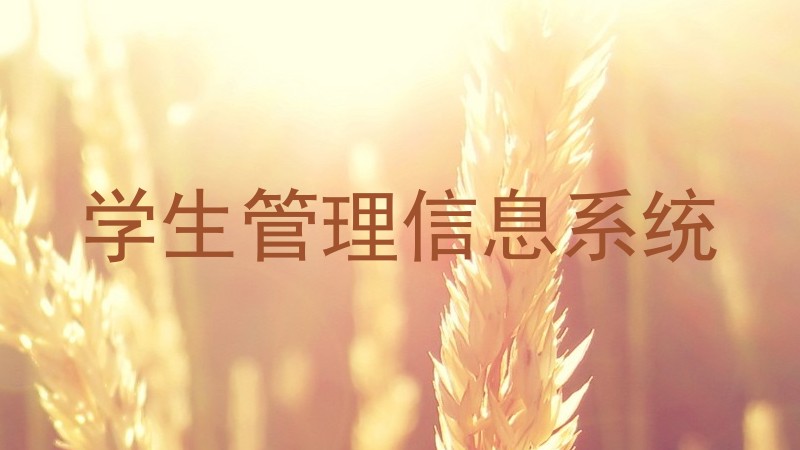 学生管理信息系统