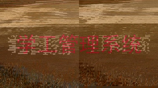 学工管理系统
