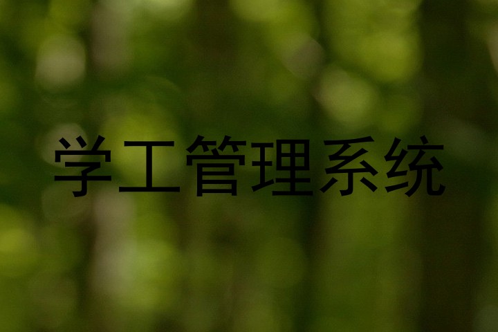 学工管理系统