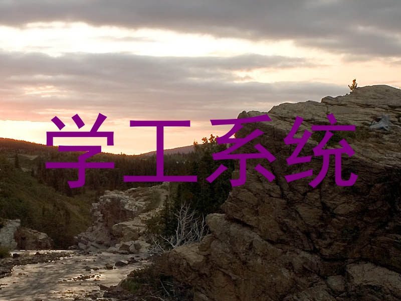 学工系统