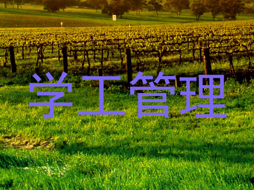 学工管理