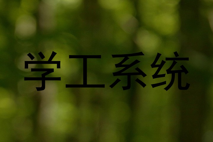 学工系统