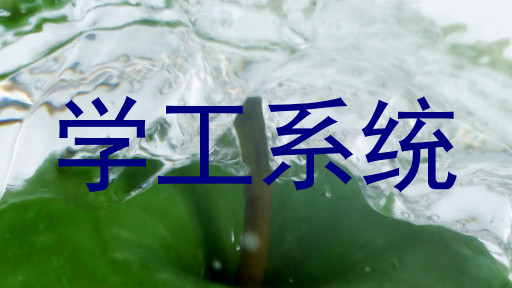 学工系统