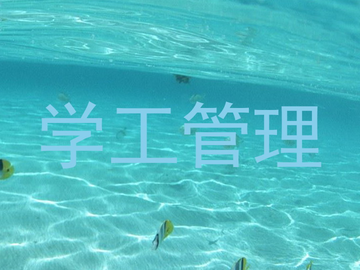 学工管理