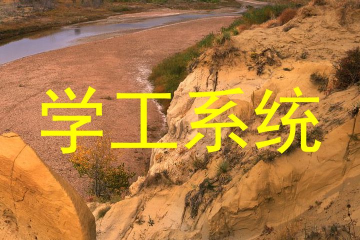 学工系统