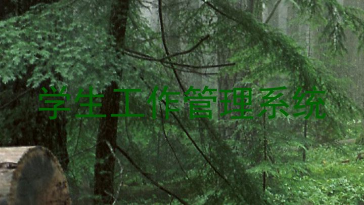 学生工作管理系统